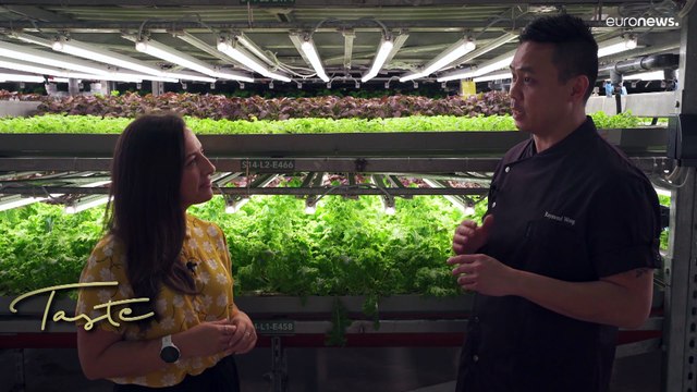 Η συνταγή του Ντουμπάι για ένα Βιώσιμο Μέλλον