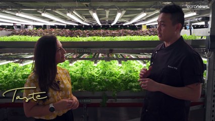 La ricetta di Dubai per un futuro sostenibile