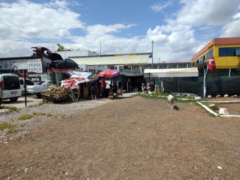 Son dakika haberleri... Ankara'da 6 köpeğin ölümünde 'zehirli tavuk eti' incelemesi