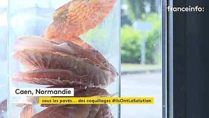 À Caen, des pavés en coquillages recyclés pour lutter contre le réchauffement climatique