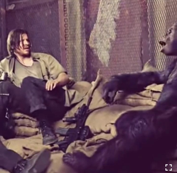 Smart Monkey Hollywood Whatsapp  Status | Bao Rami Status