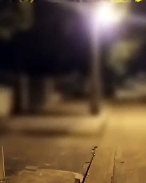 Mulher mata marido a facadas e foge, no Paraná, em Cianorte