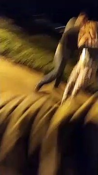 Mulher mata marido a facadas e foge, no Paraná; veja