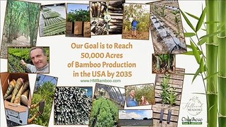Bamboo Farming Made Easy