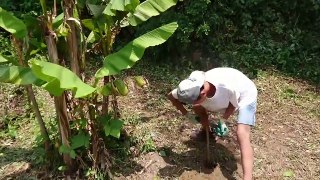 How To Build A Bamboo House