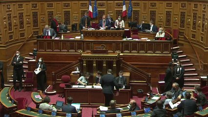 Climat dans la constitution: le Sénat adopte sa propre version pour la seconde fois