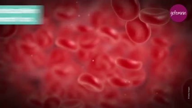 Krebs verstehen: So entstehen Tumore im Körper