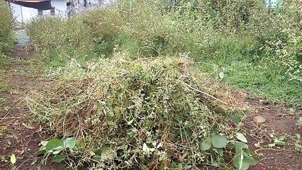 Making Bamboo Gate And Fence (Wood And Bamboo Craft)