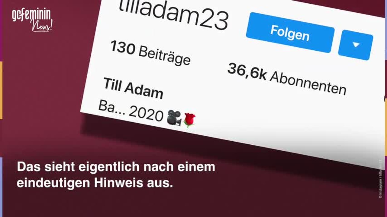 Ist dieser "Love Island"-Kandidat der neue Bachelor