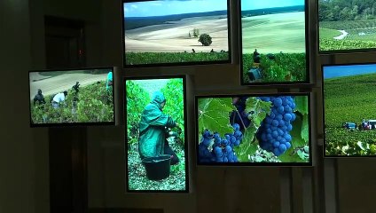 Près de Reims, un musée propose un voyage sensoriel pour tout savoir sur le champagne