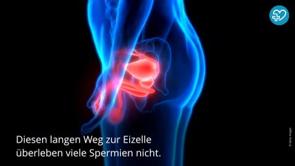 Spermien: DAS wusstet ihr garantiert noch nicht!