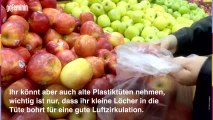 Äpfel lagern: Mit diesen Tipps werden sie nicht mehlig