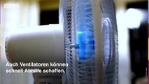 Wohnung kühlen: So übersteht ihr die Sommerhitze