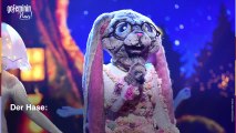 The Masked Singer: Wer steckt unter den Kostümen