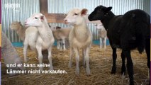 Wegen Corona: 'Bauer sucht Frau'-Star Heinrich in Not