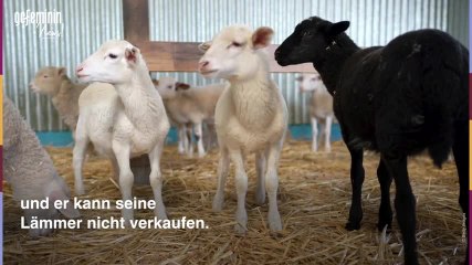 Wegen Corona: 'Bauer sucht Frau'-Star Heinrich in Not