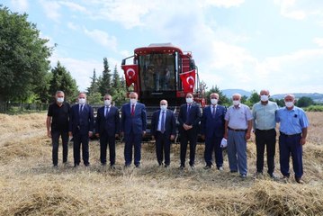 Karakılçık buğdayı hasadı yapıldı