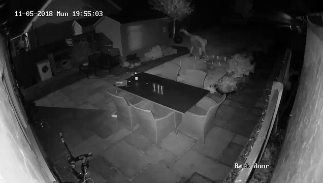 Il allume un feu d'artifice dans son jardin et va le regretter