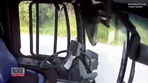 Ce chauffeur de bus s'arrête pour sauver une tortue qui traversait la route... Beau geste