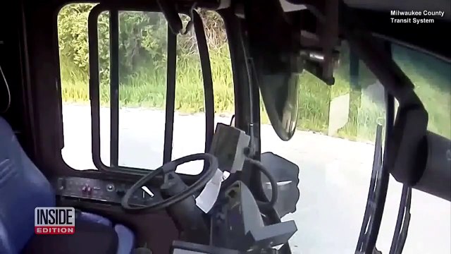 Ce chauffeur de bus s'arrête pour sauver une tortue qui traversait la route... Beau geste