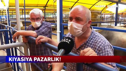 İstanbul'a getirilen kurbanlıklar için pazarlıklar başladı