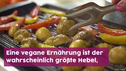 Vegane Ernährung könnte Klima retten
