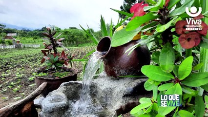 Marena autoriza zoocriaderos de venados y faisanes en Jalapa