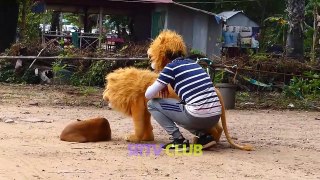 [วิดีโอแกล้งหมาที่ดีที่สุด] อย่าลองทำที่บ้านจะทำให้คุณหยุดหัวเราะไม่ได้