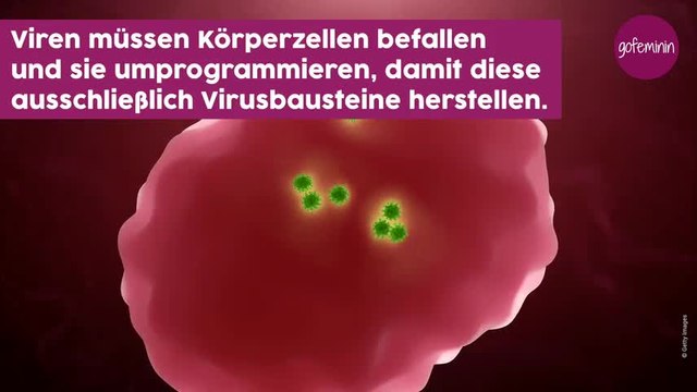 Viren und Bakterien: Die wichtigsten Unterschiede