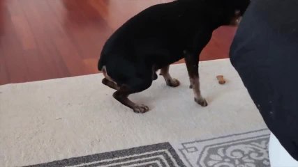 24 ore sui tacchi - GORDON - Prova a essere Donna