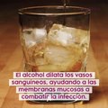 El whisky puede aliviar los síntomas del resfriado