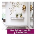 Reglas básicas del Feng Shui en decoración