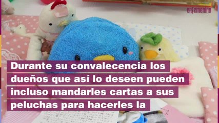Hospital peluches