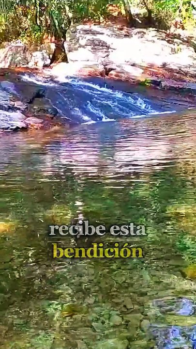 Dios te dice hoy: Cuando recibas noticias malas, cree en mí