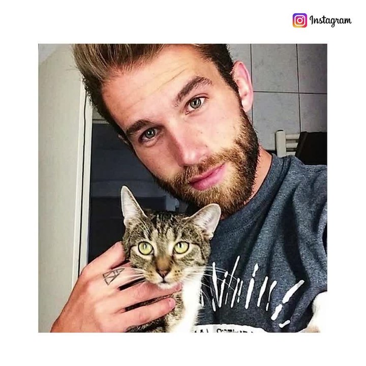 Hombres sexys y gatitos