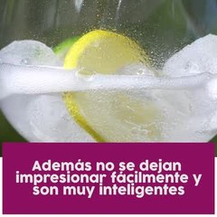 Cómo eres según tu bebida favorita