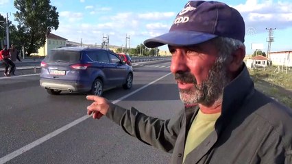 SİVAS - Mandaya çarpan otomobildeki 3 kişi yaralandı