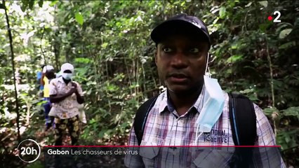 Gabon : des scientifiques chassent des virus encore inconnus