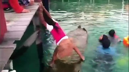 Bu kızın harika bir marifeti var