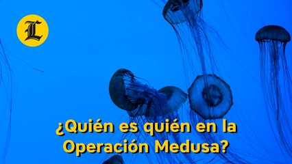 ¿Quién es quién en el caso Operación Medusa?