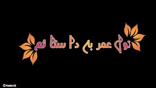Tol Umar Ba Da Sata Yam |Pashto Song Blackscreen Status|  ټول عمر به دا ستا ئم✅