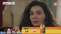 HERCAI CAPITULO 205 AUDI LATINO