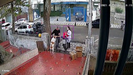 Cadela ganha roupa nova após furto