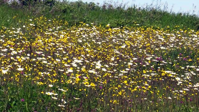 Coup d’envoi du chantier de la maison des aînés