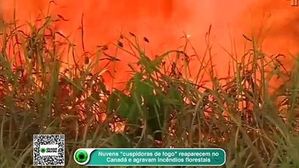 Download Video: Nuvens -cuspidoras de fogo- reaparecem no Canadá e agravam incêndios florestais