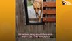 Dad Cuts _Peepholes_ Into Fence So Dogs Can Say Hi To Mom _ The Dodo # ANIMAL LOVERS