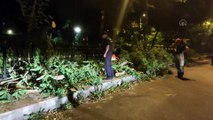 İSTANBUL - Üsküdar'da yola ağaç devrildi