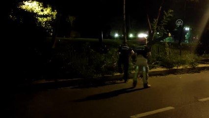 Üsküdar'da yola ağaç devrildi
