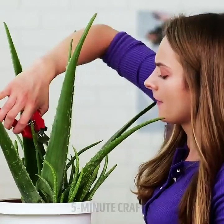 24 Brilliant Hacks For Natural Beauty
