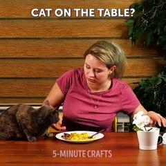 22 Lovely Diy Ideas For Your Pets